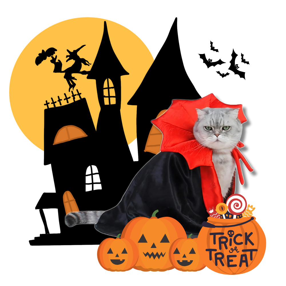 Costume d'Halloween Dracula pour animaux de compagnie