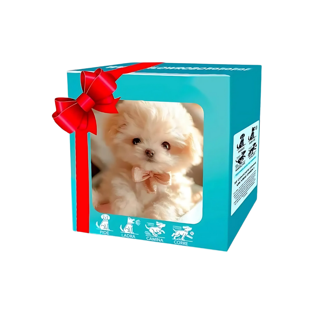 Adorable robot chaton/chiot