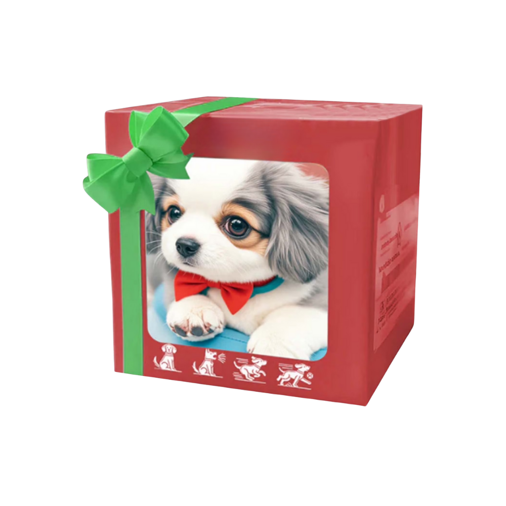 Adorable robot chaton/chiot