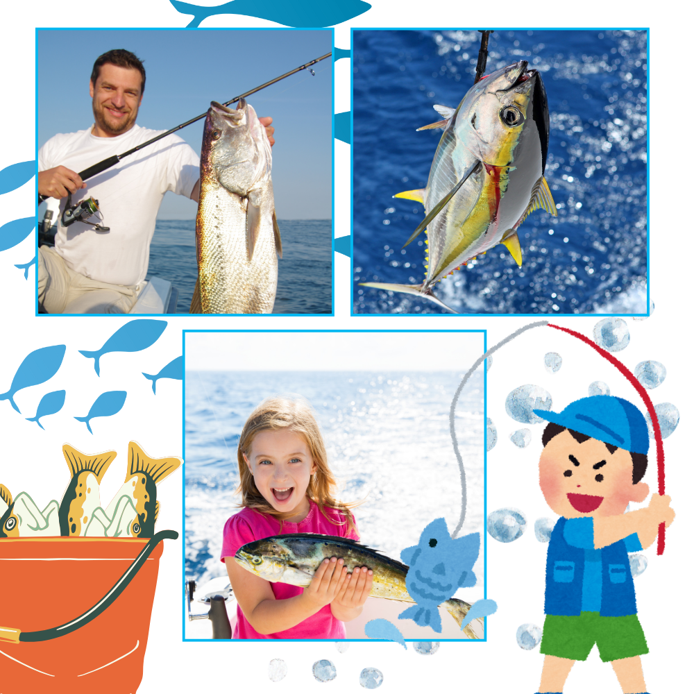 Calendrier de l'Avent de pêche avec surprises quotidiennes