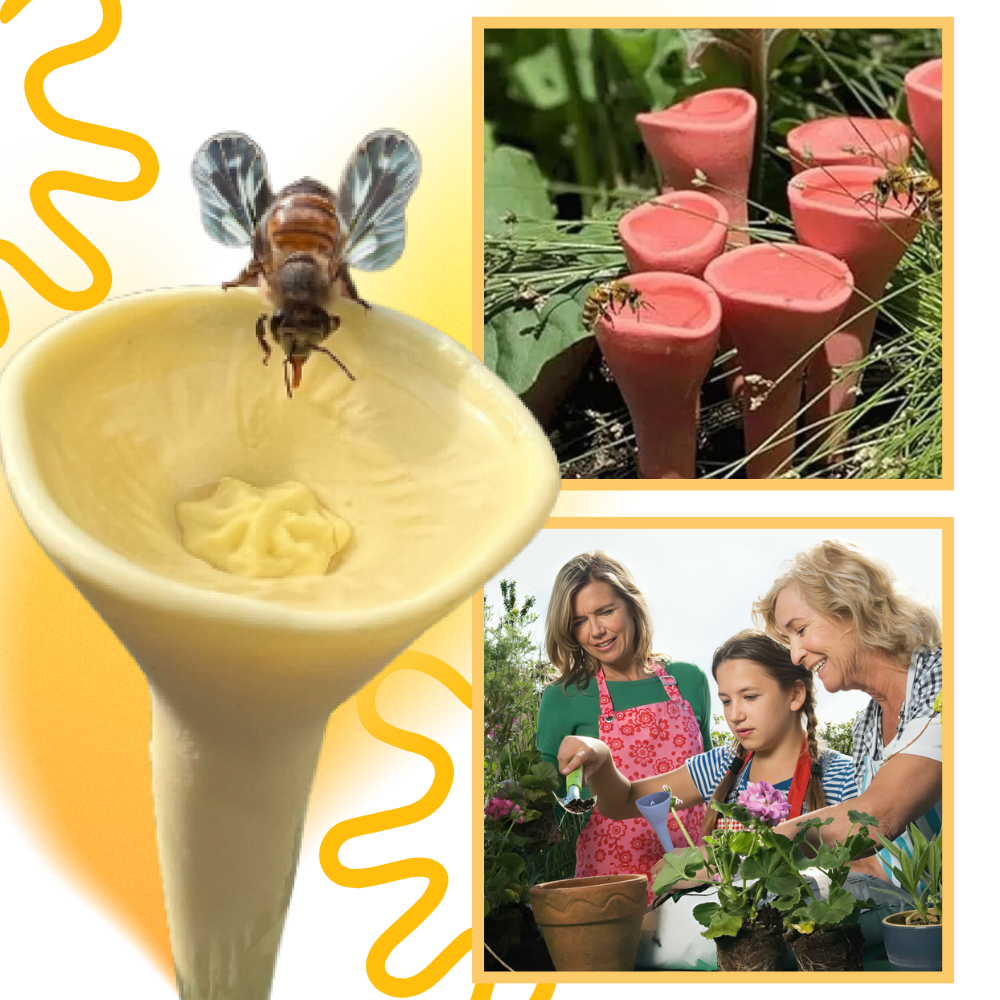 Abreuvoirs pour abeilles discrets et attrayants