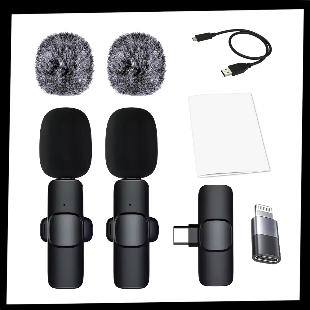 Micro cravate double à réduction de bruit