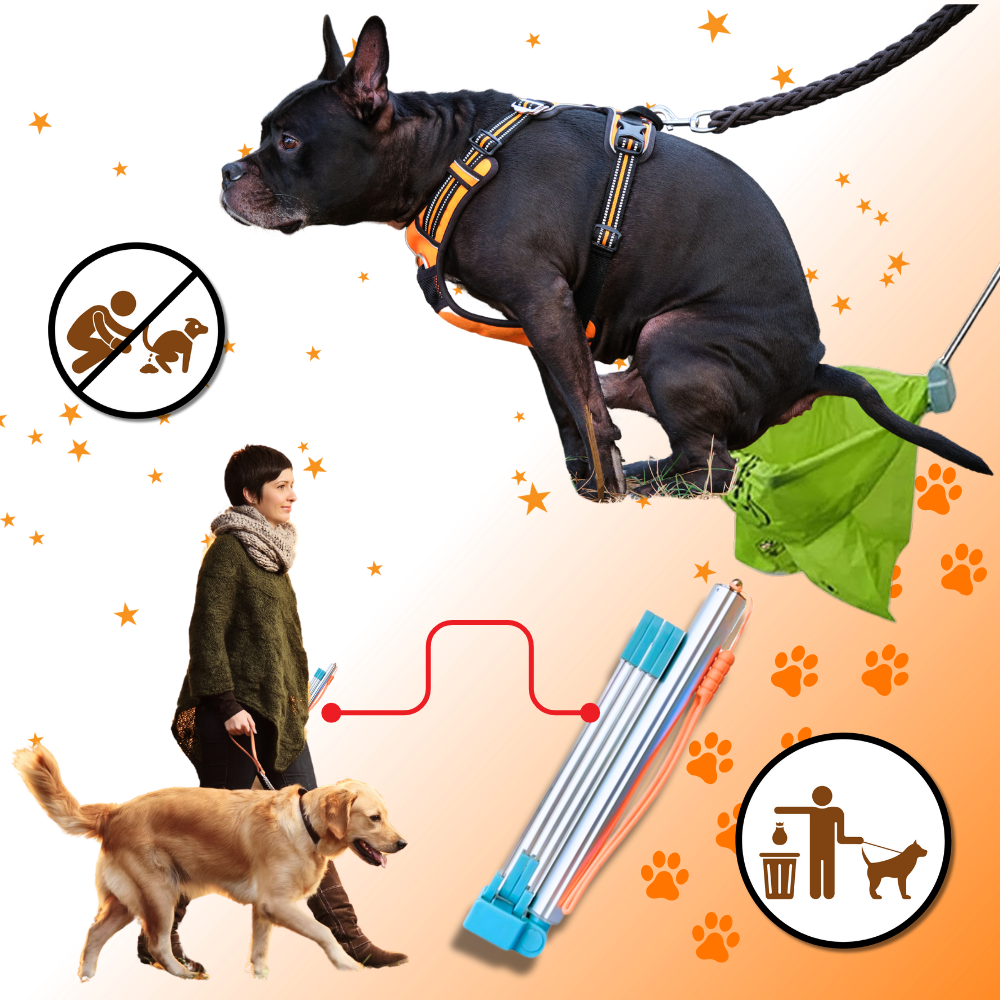 Ramasse-crottes facile à nettoyer