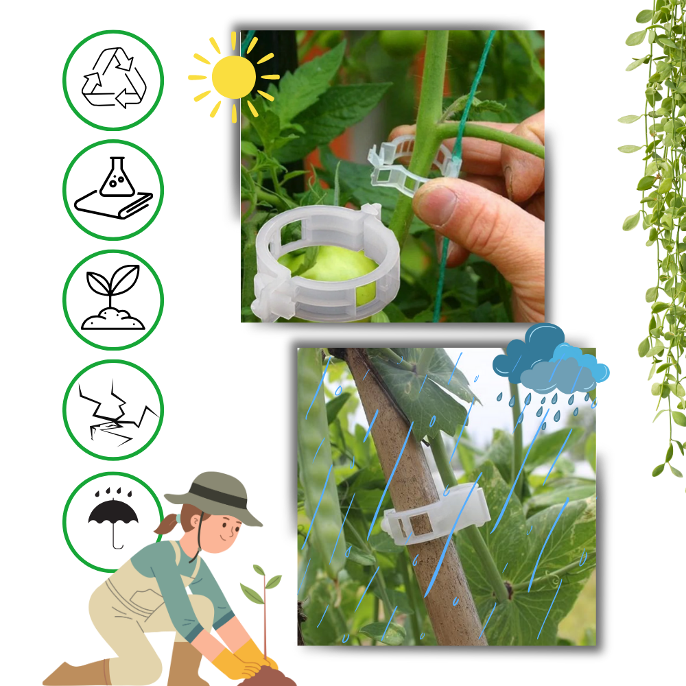 Support de plantes facile à clipser