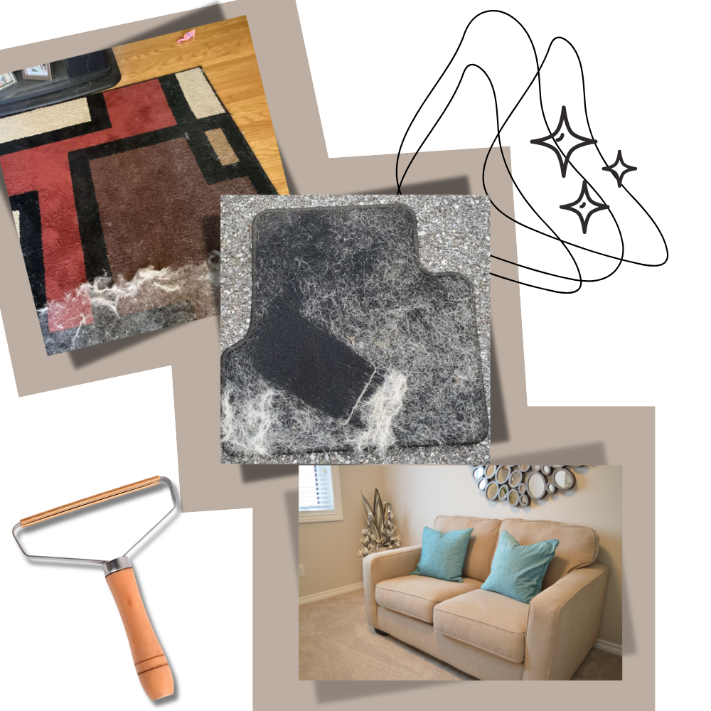 Brosse anti-poils d'animaux