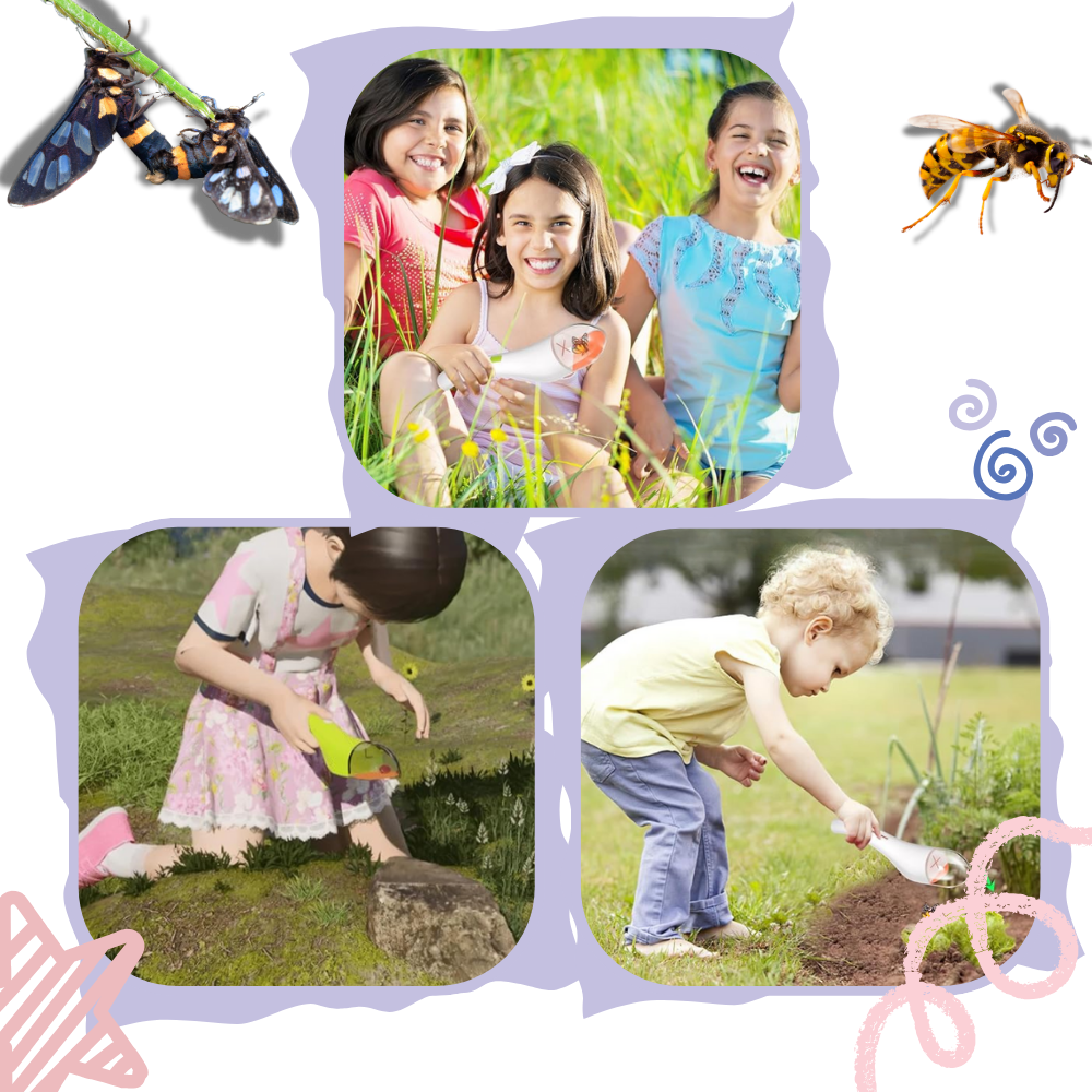 Piège à insectes avec vue HD