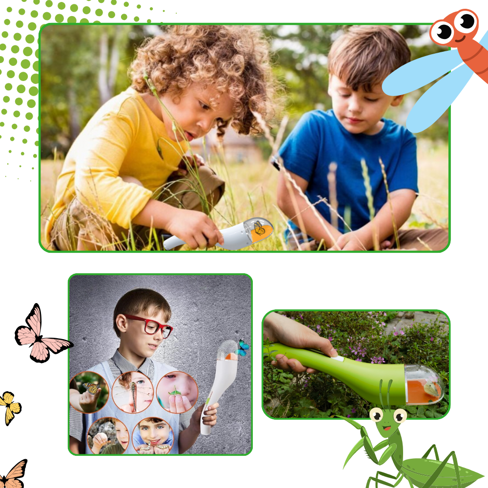 Piège à insectes avec vue HD