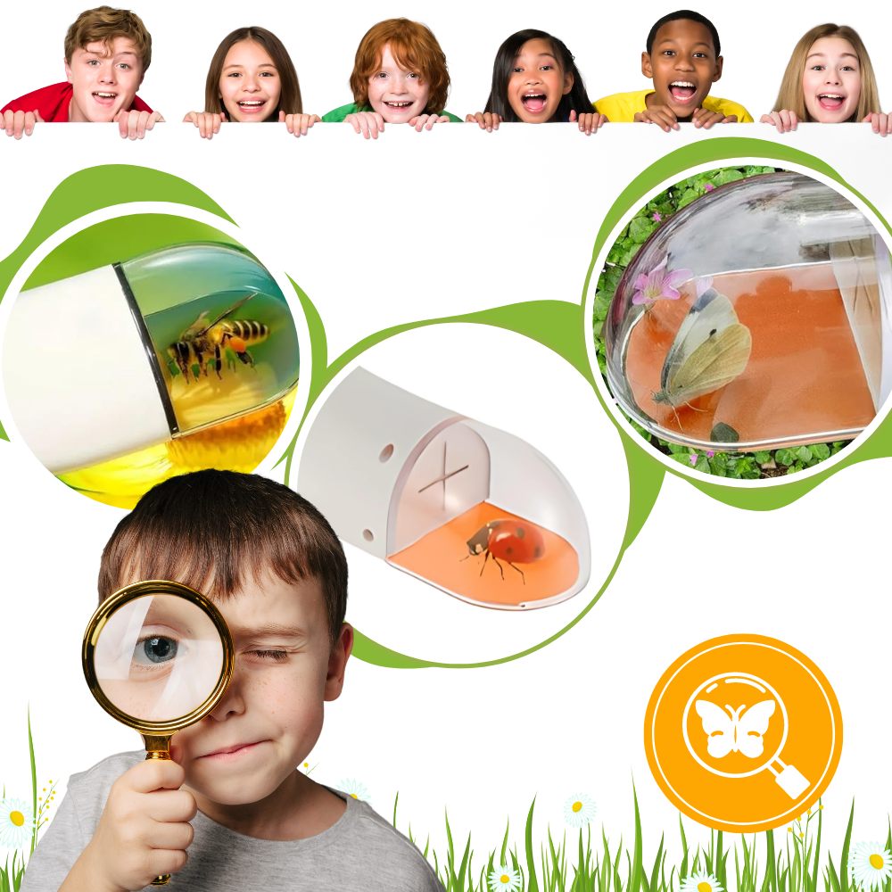 Piège à insectes avec vue HD