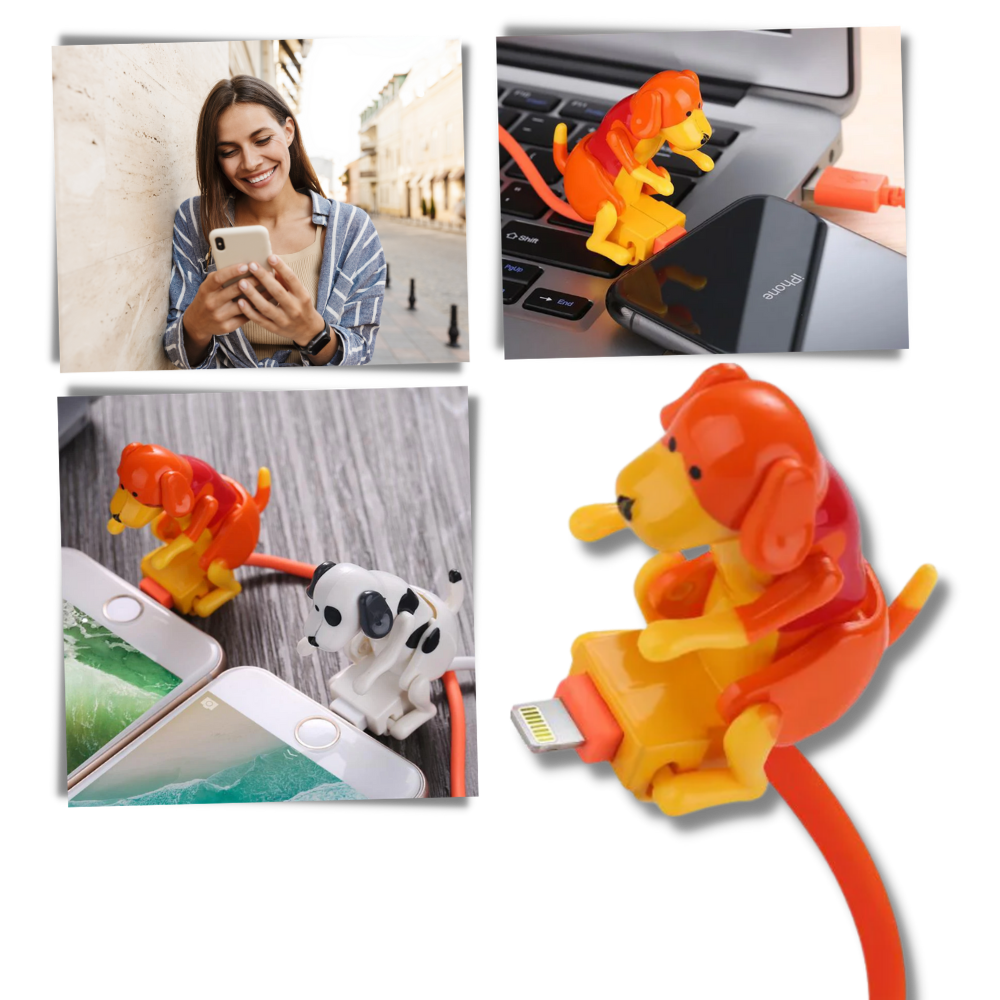 Câble de chargement rapide en forme de chien