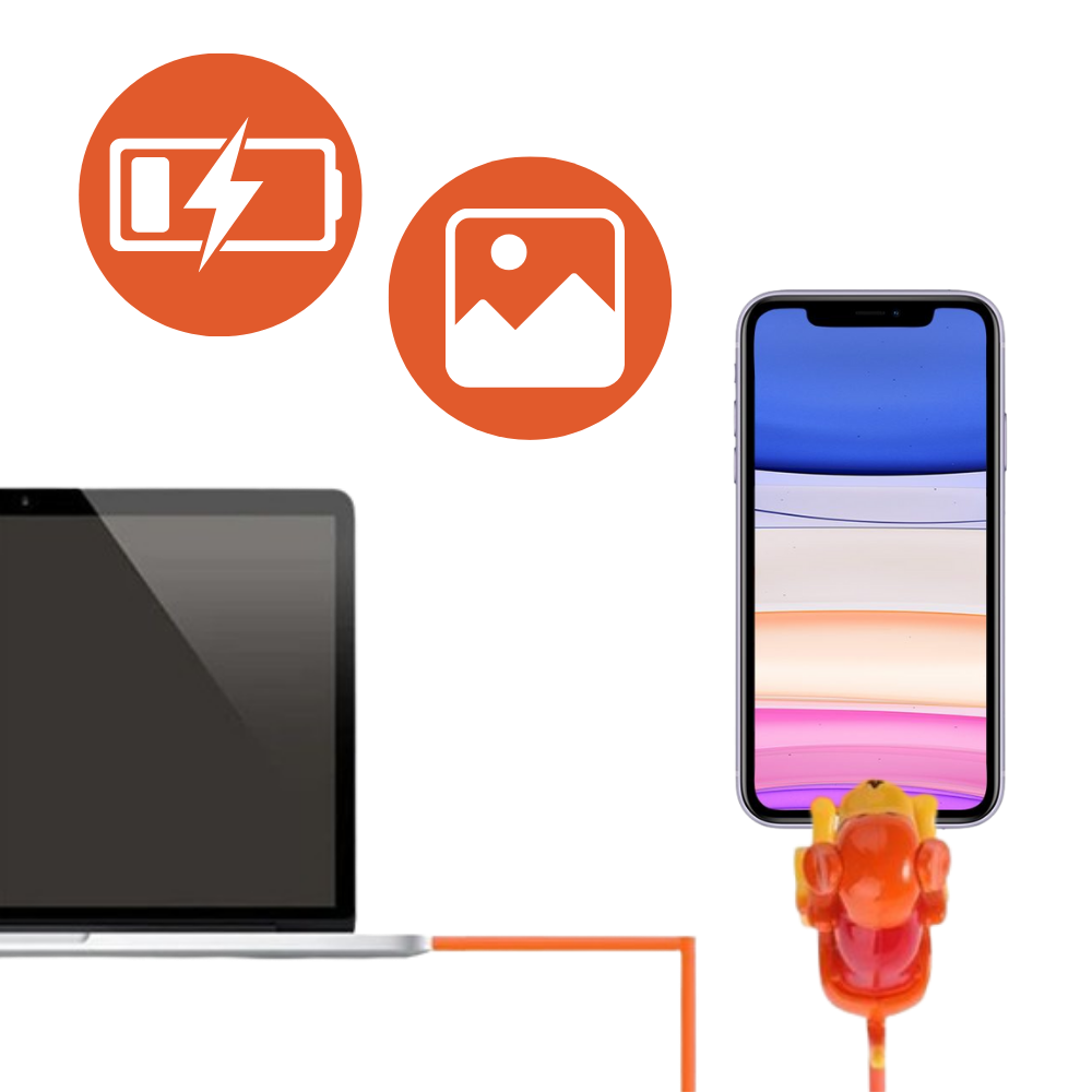 Câble de chargement rapide en forme de chien