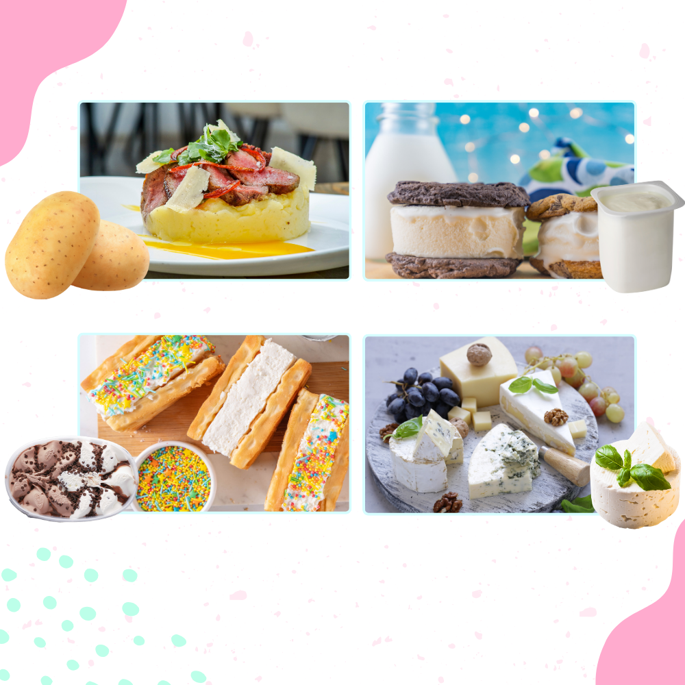 Cuillère à Cylindres de Crème Glacée