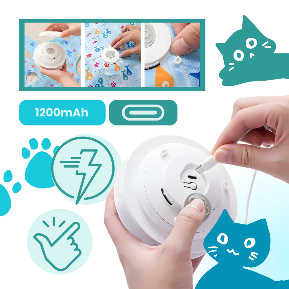 Jouet tapis interactif à plumes pour chatons en phase de dentition