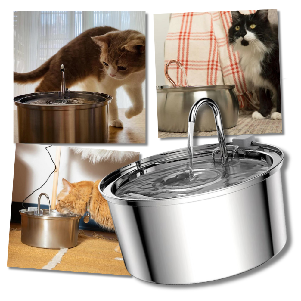 Fontaine pour chats à grande capacité