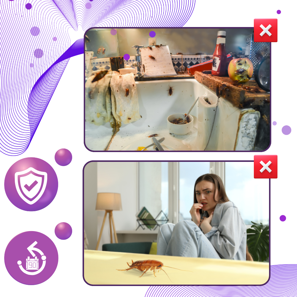 Perles anti-cafards à l'extrait de lavande