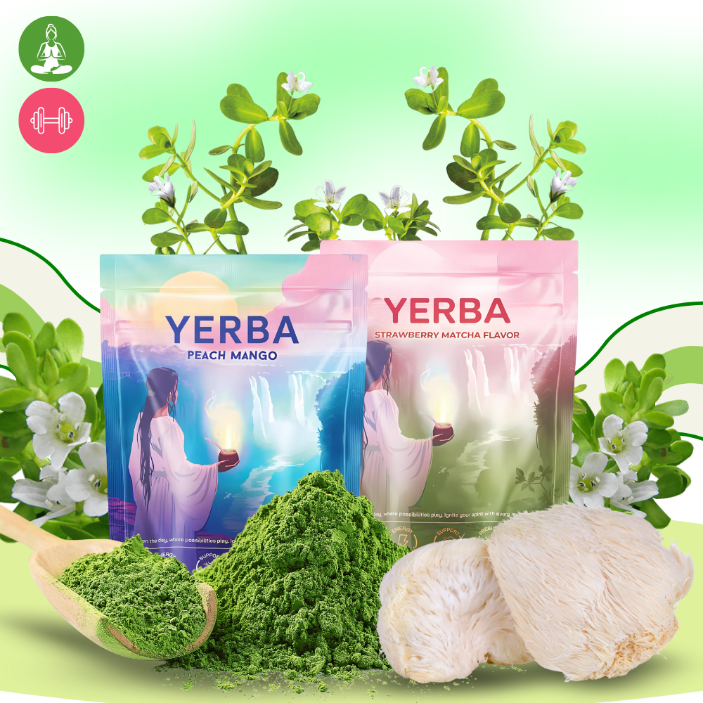 Thé Matcha Maté en poudre