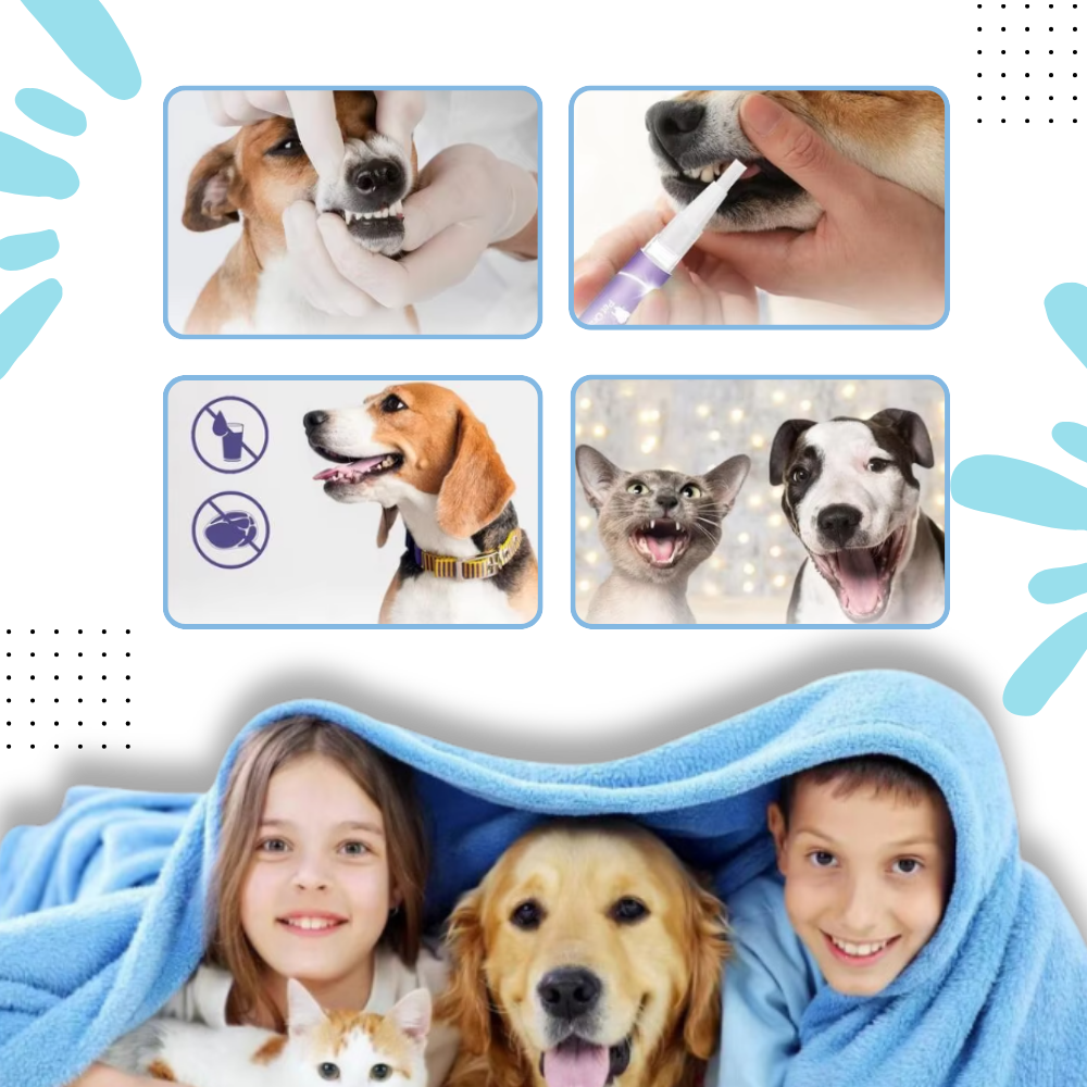 Gel de réparation buccale naturel pour animaux