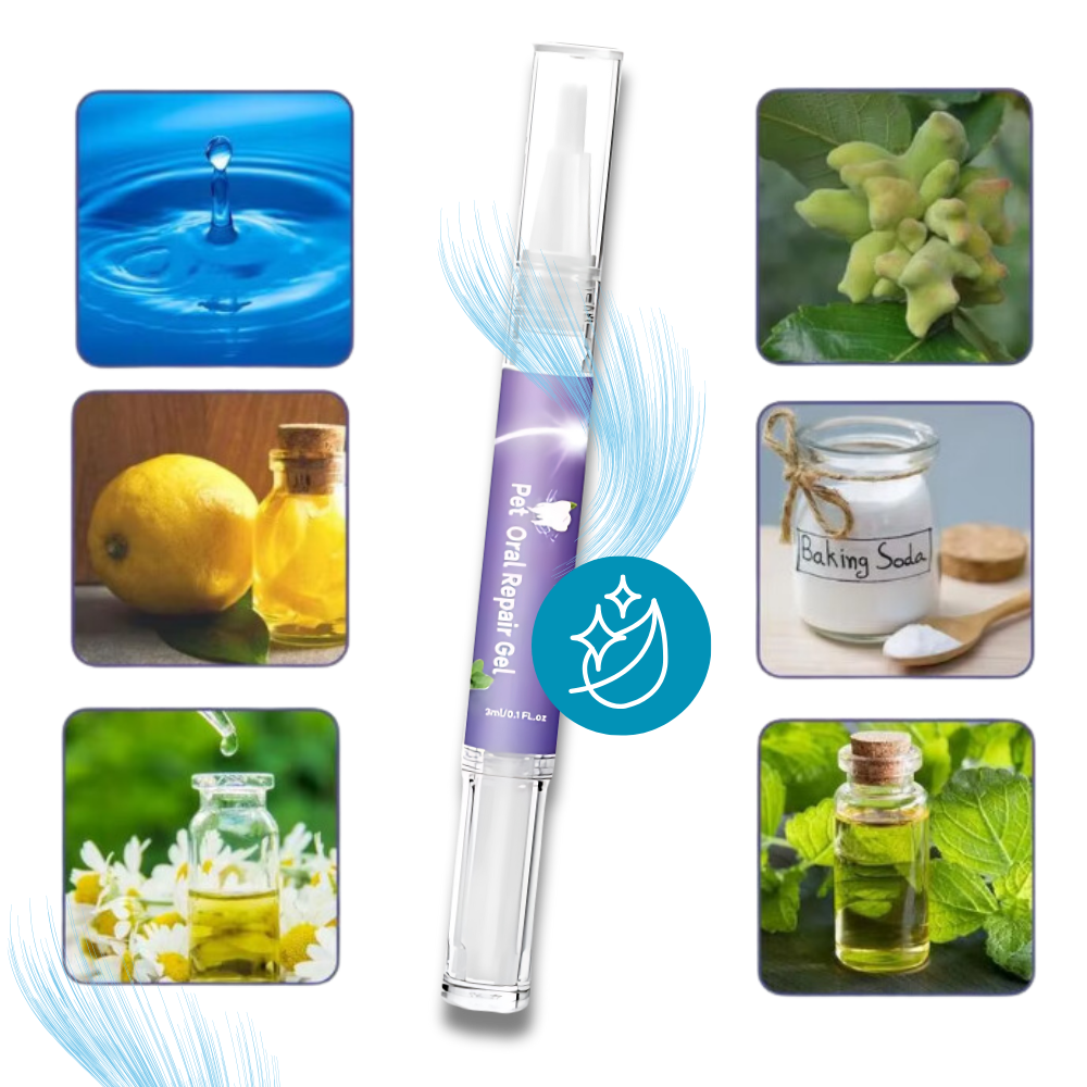 Gel de réparation buccale naturel pour animaux