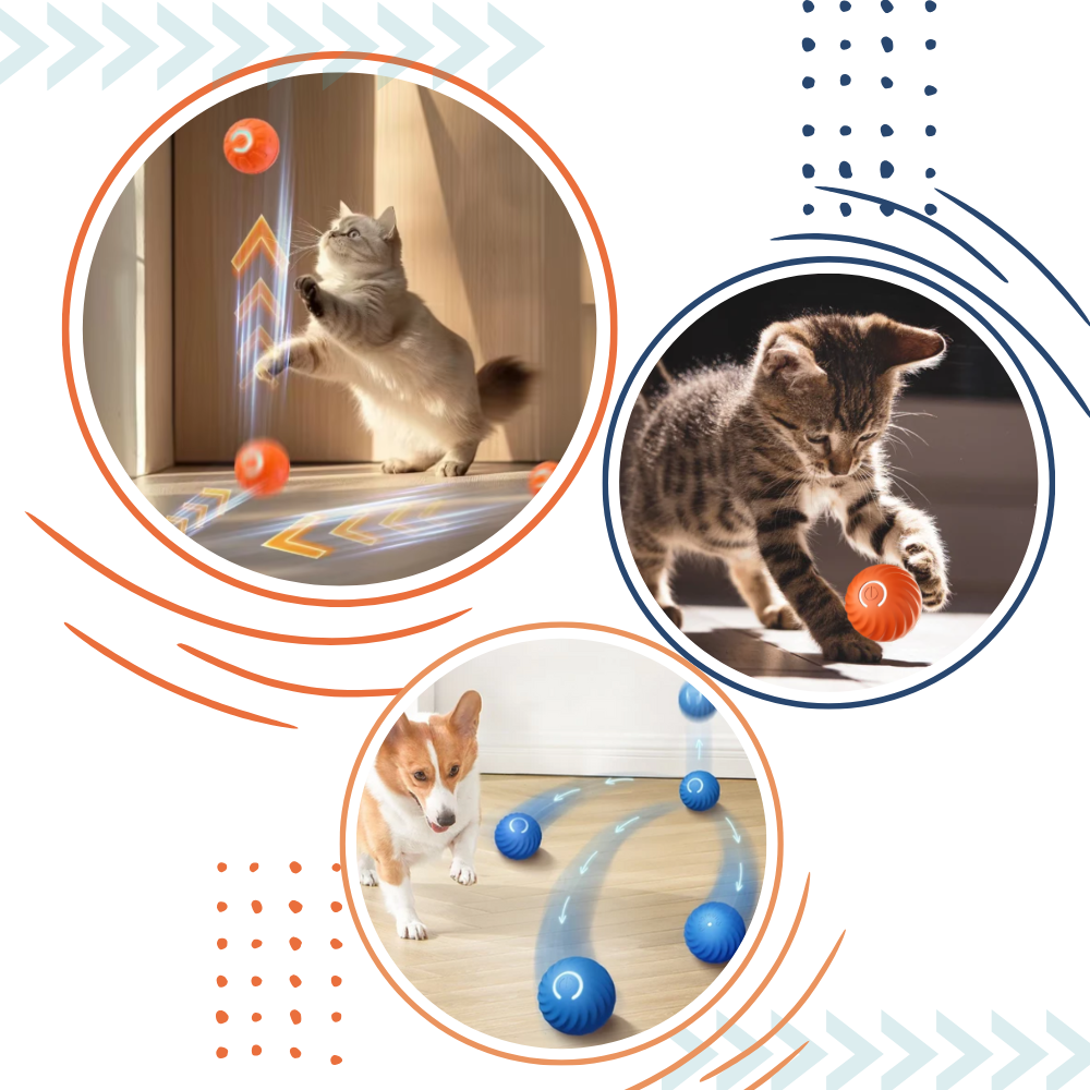 Balle pour chien avec évitement d'obstacles