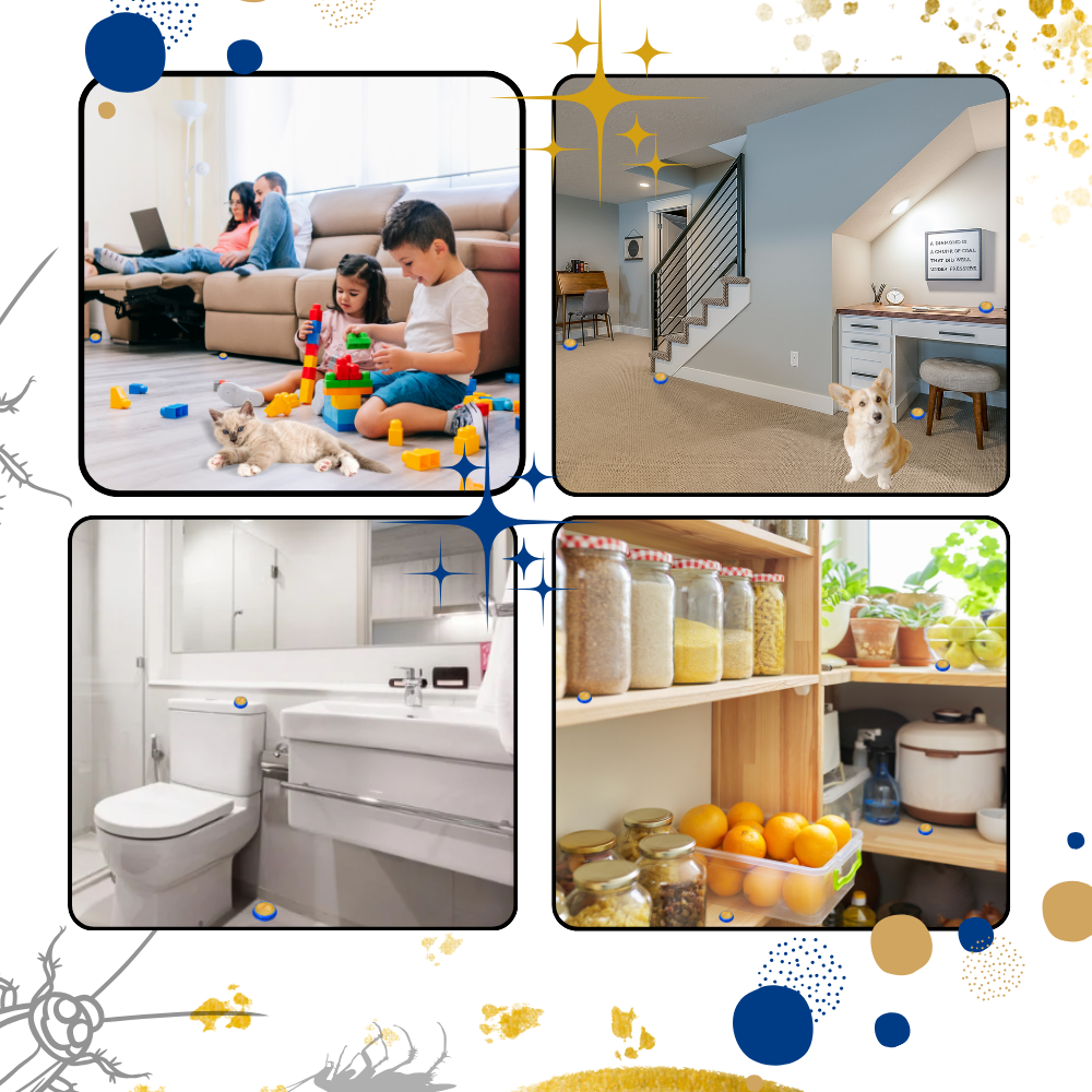 Pièges à blattes sans odeurs