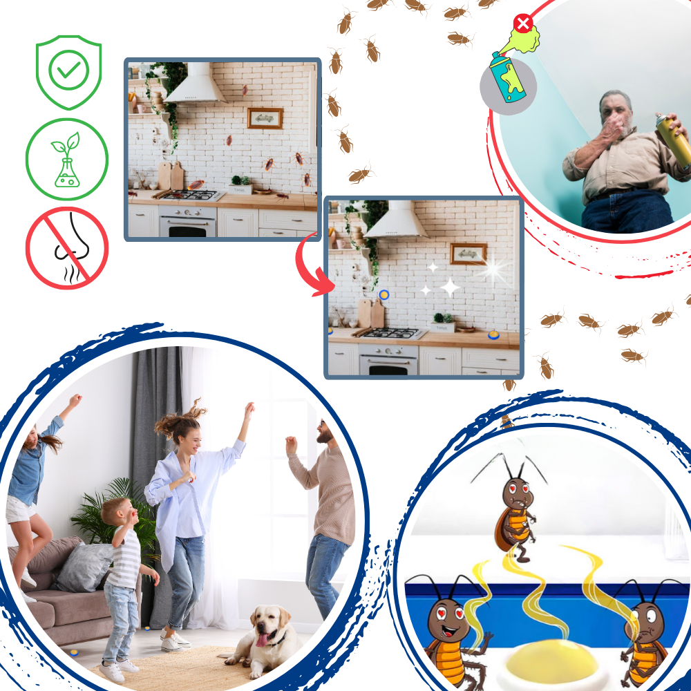 Pièges à blattes sans odeurs