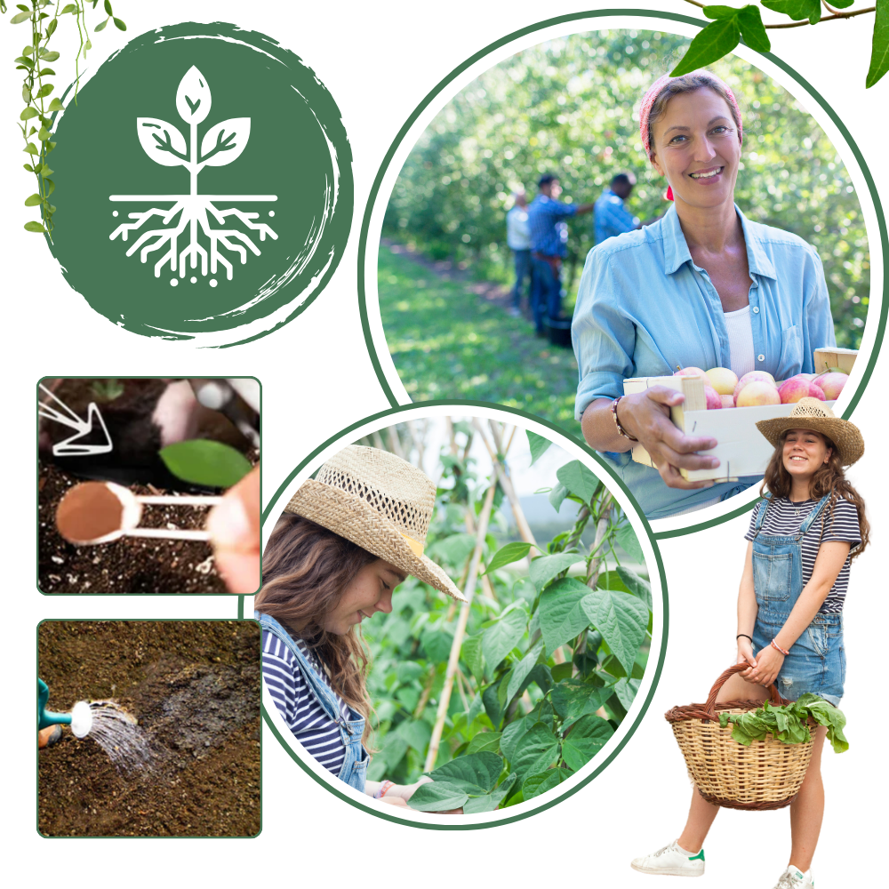 Activateur de sol à nutriments bio