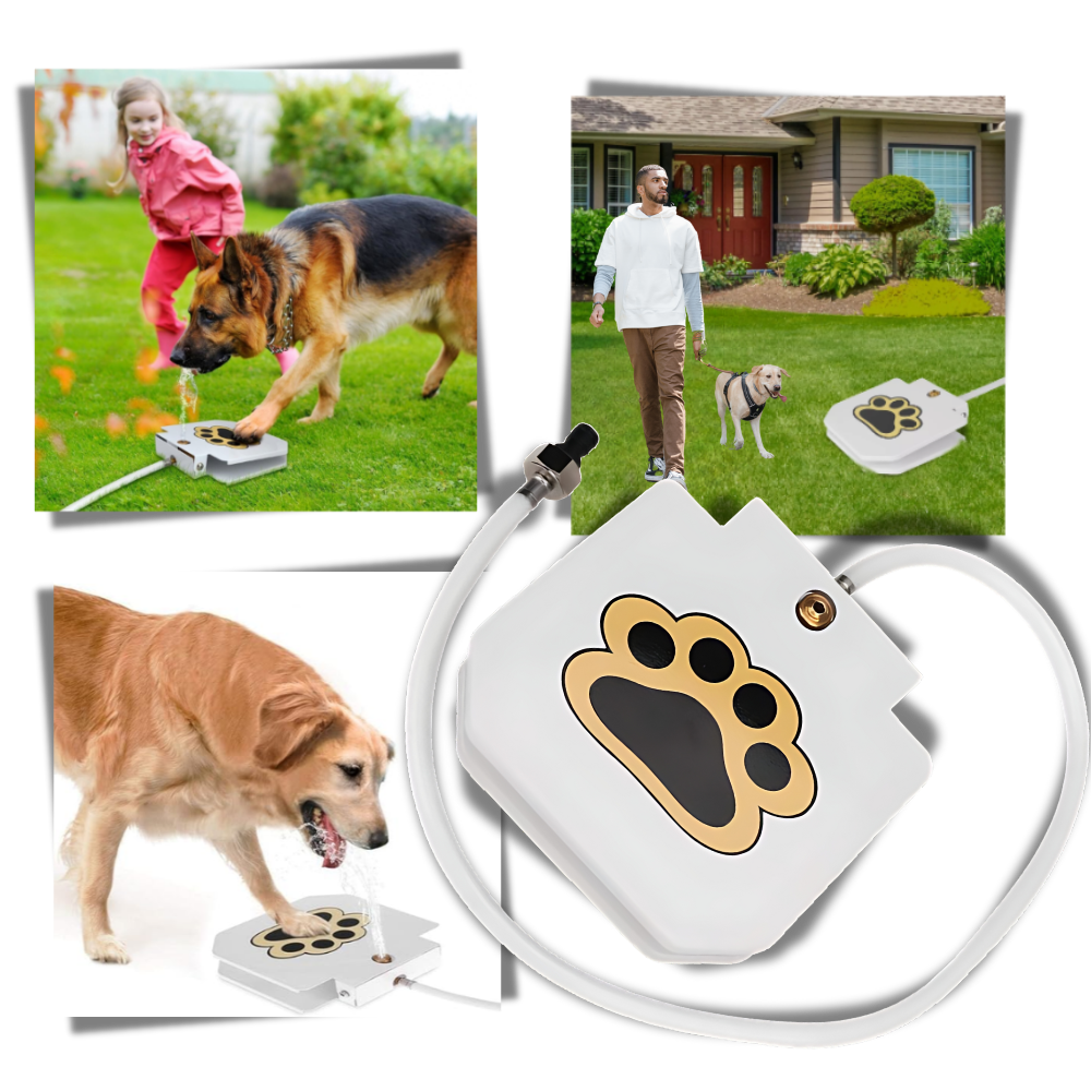 Fontaine à eau pour chien à activation par la patte