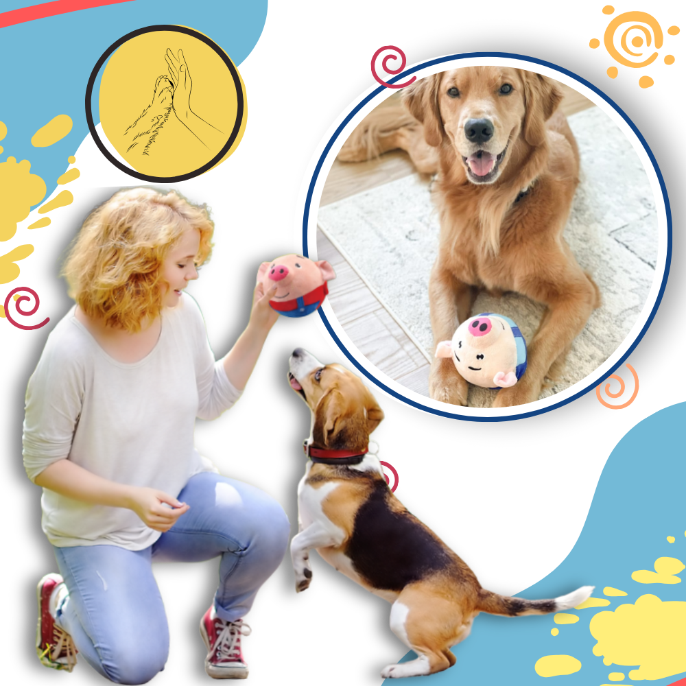 Jouet interactif pour chien