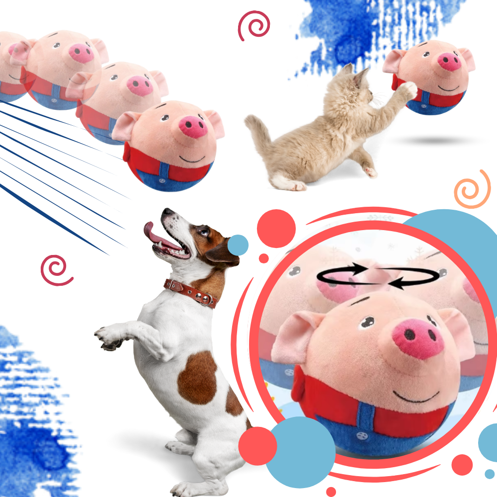 Jouet interactif pour chien