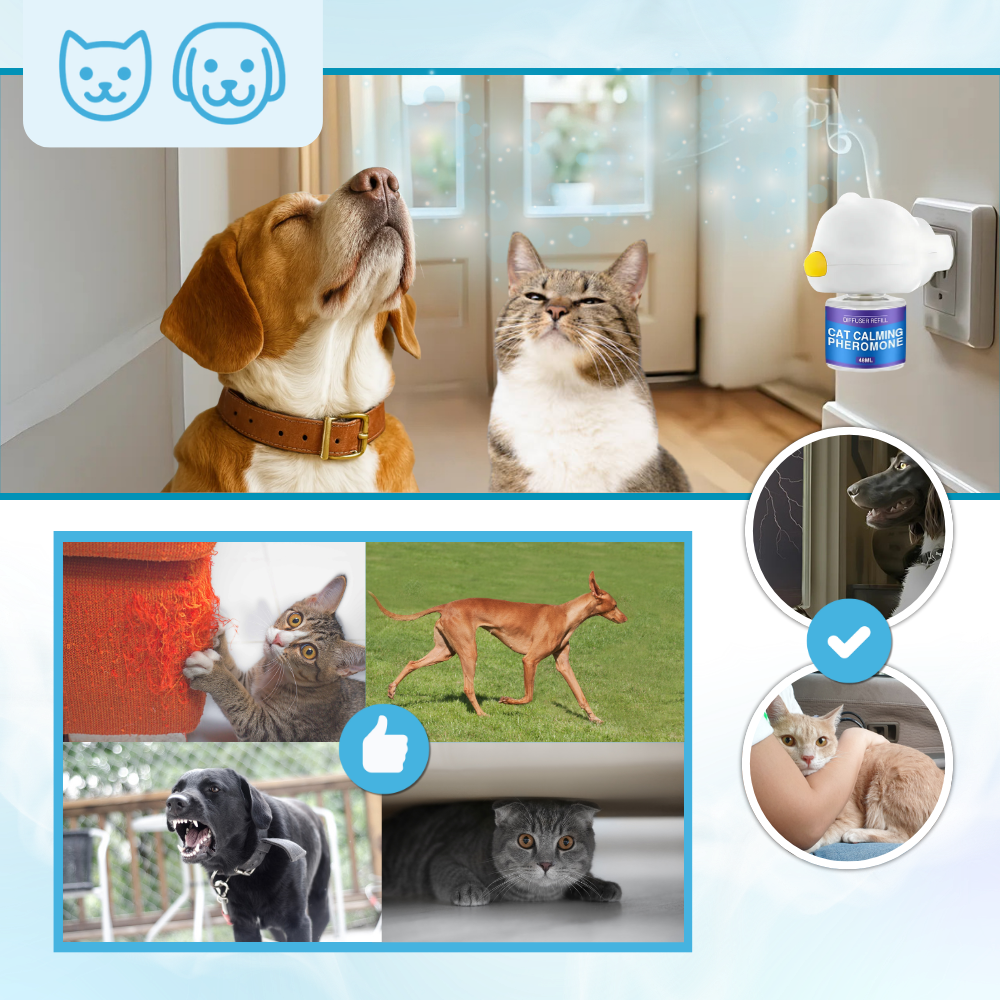 Diffuseur de phéromones