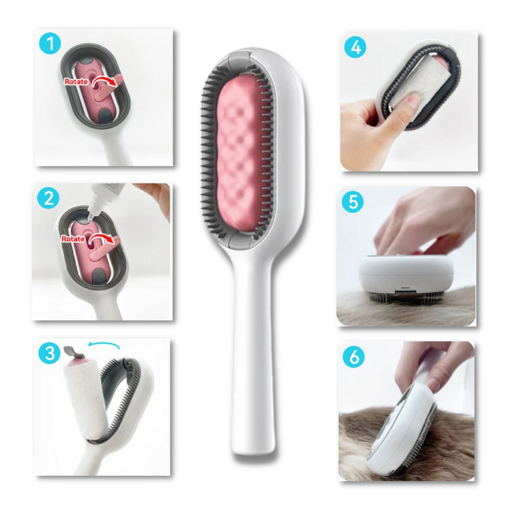 Brosse de toilettage avec réservoir d'eau