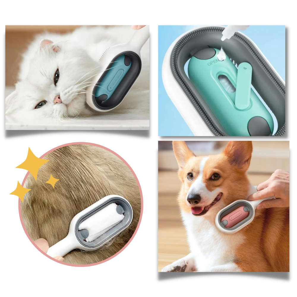 Brosse de toilettage avec réservoir d'eau