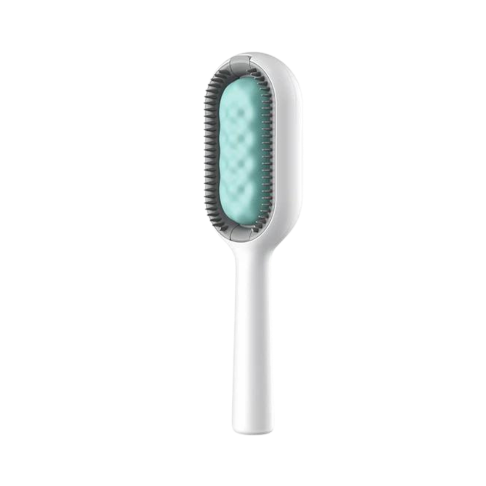 Brosse de toilettage avec réservoir d'eau