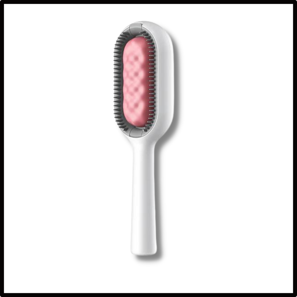 Brosse de toilettage avec réservoir d'eau