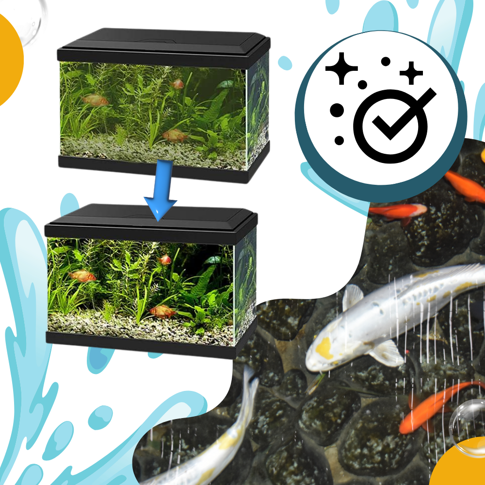 Produit anti-algues préventif pour aquarium