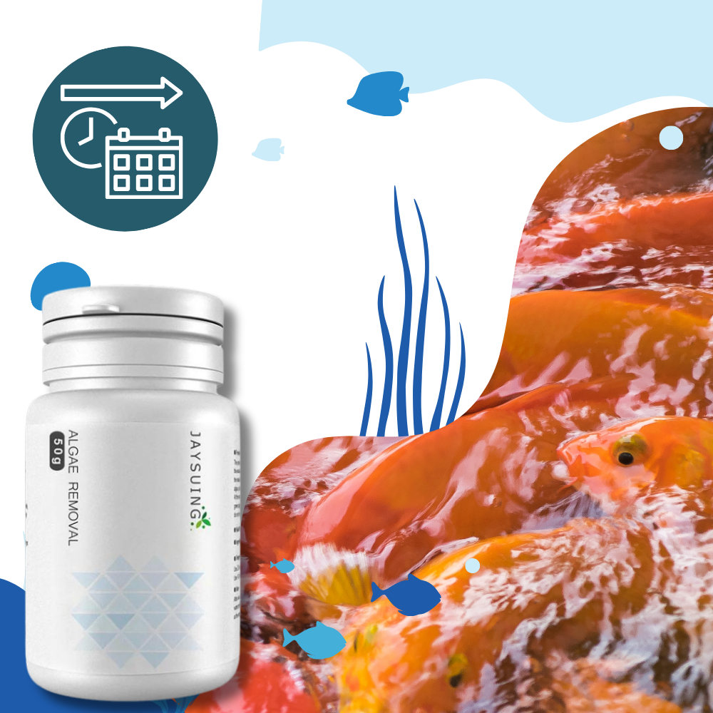 Produit anti-algues préventif pour aquarium