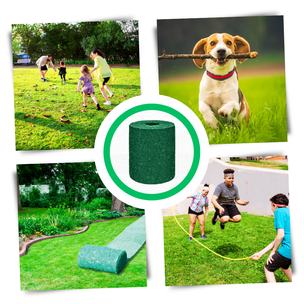 Tapis de semences de gazon vert à fixation rapide