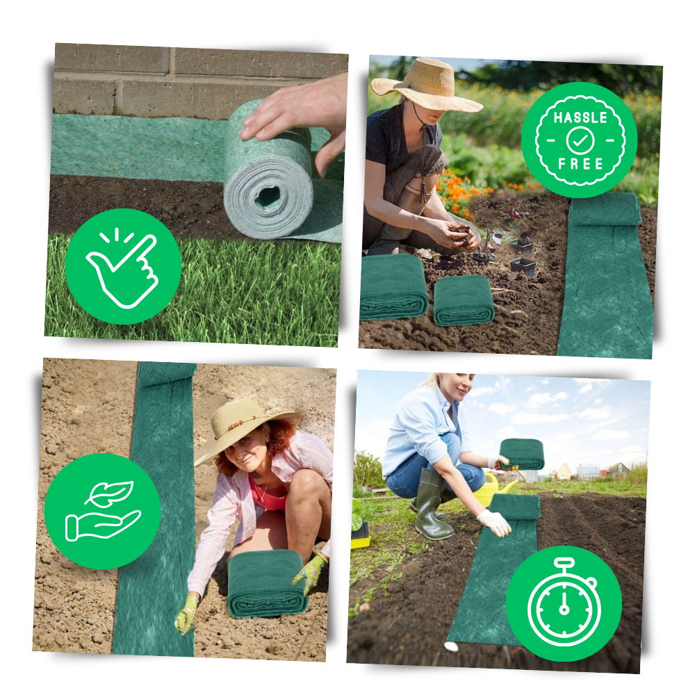 Tapis de semences de gazon vert à fixation rapide