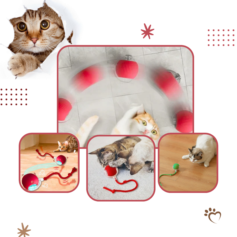 Jouet interactif intelligent pour chats