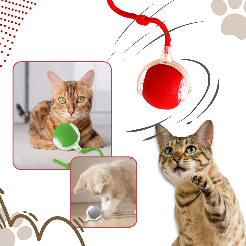 Jouet interactif intelligent pour chats