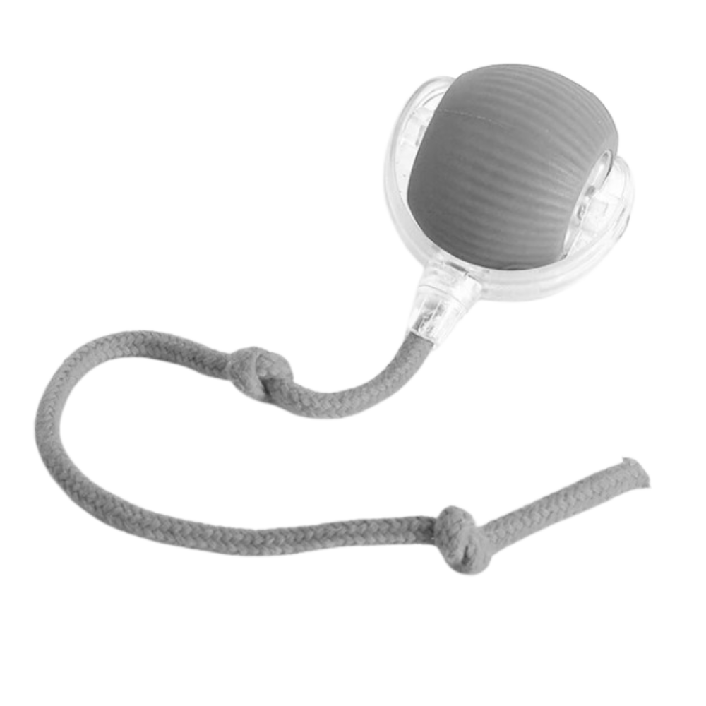 Jouet interactif intelligent pour chats