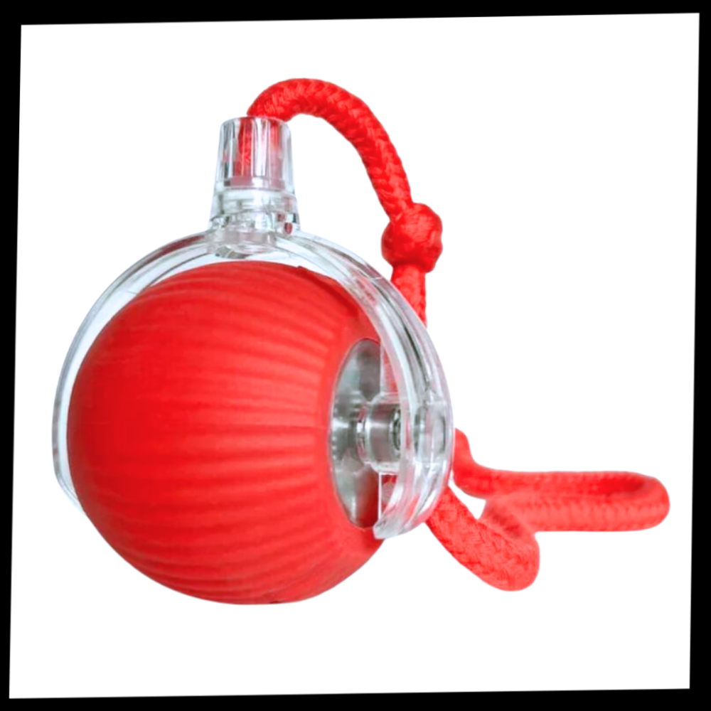 Jouet interactif intelligent pour chats