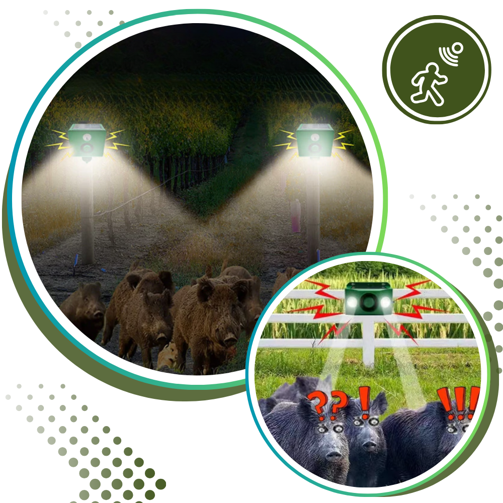 Répulsif solaire à détection de mouvement pour animaux