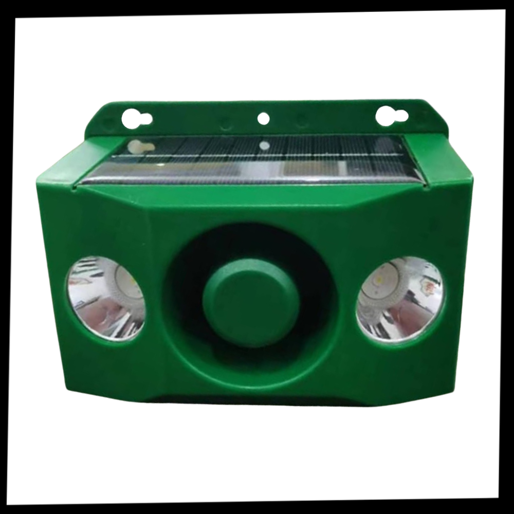 Répulsif solaire à détection de mouvement pour animaux