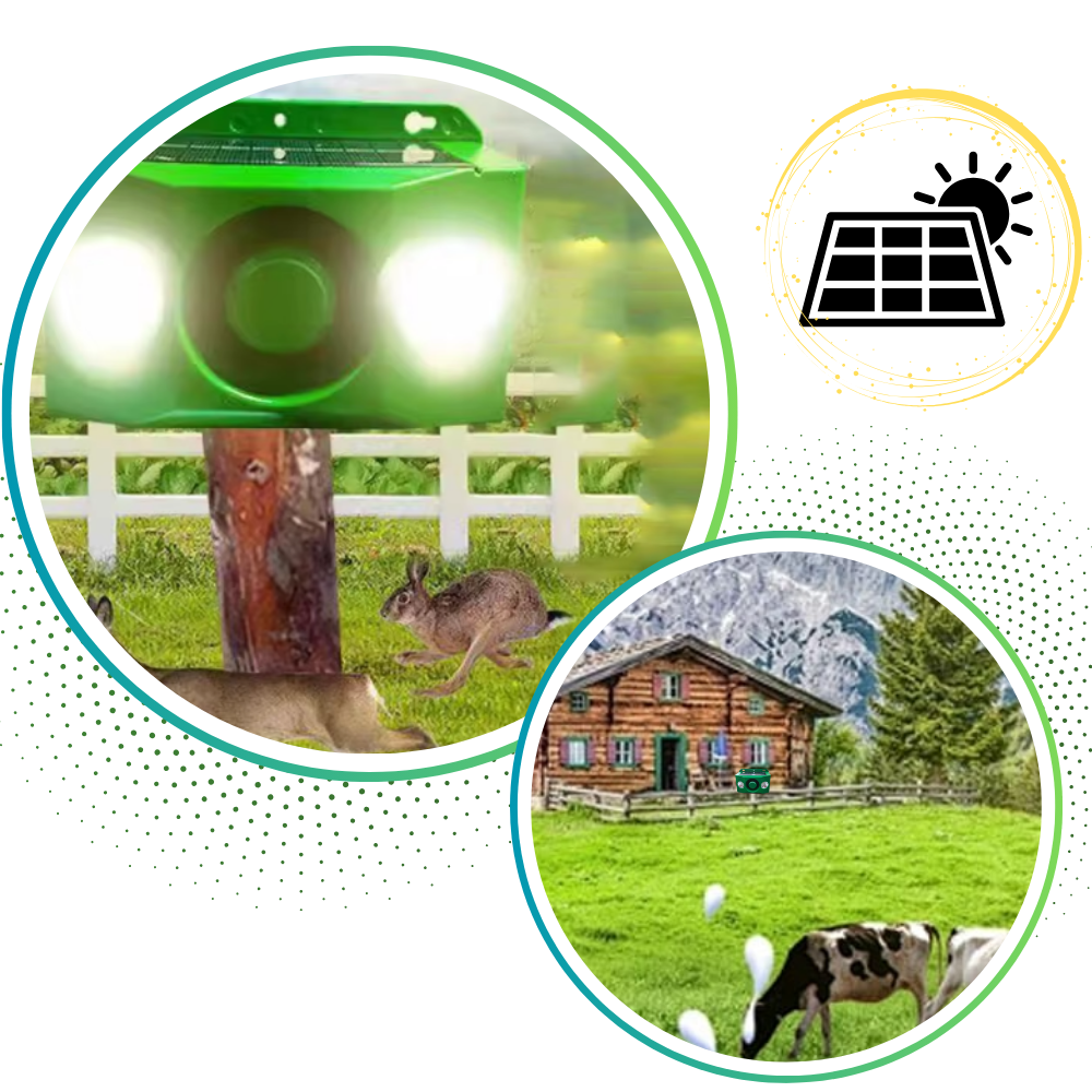 Répulsif solaire à détection de mouvement pour animaux