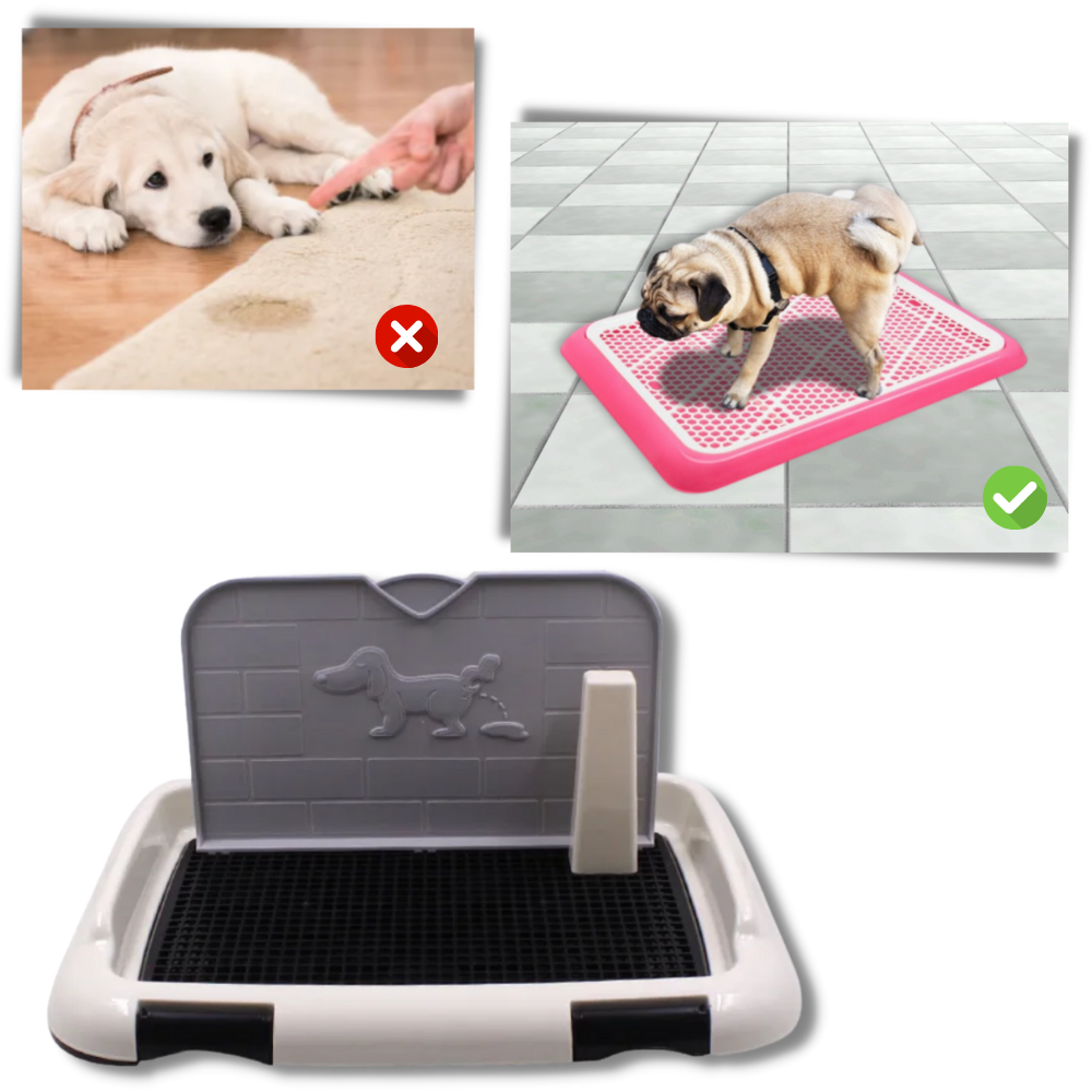 Tapis de propreté pour chien anti-éclaboussures