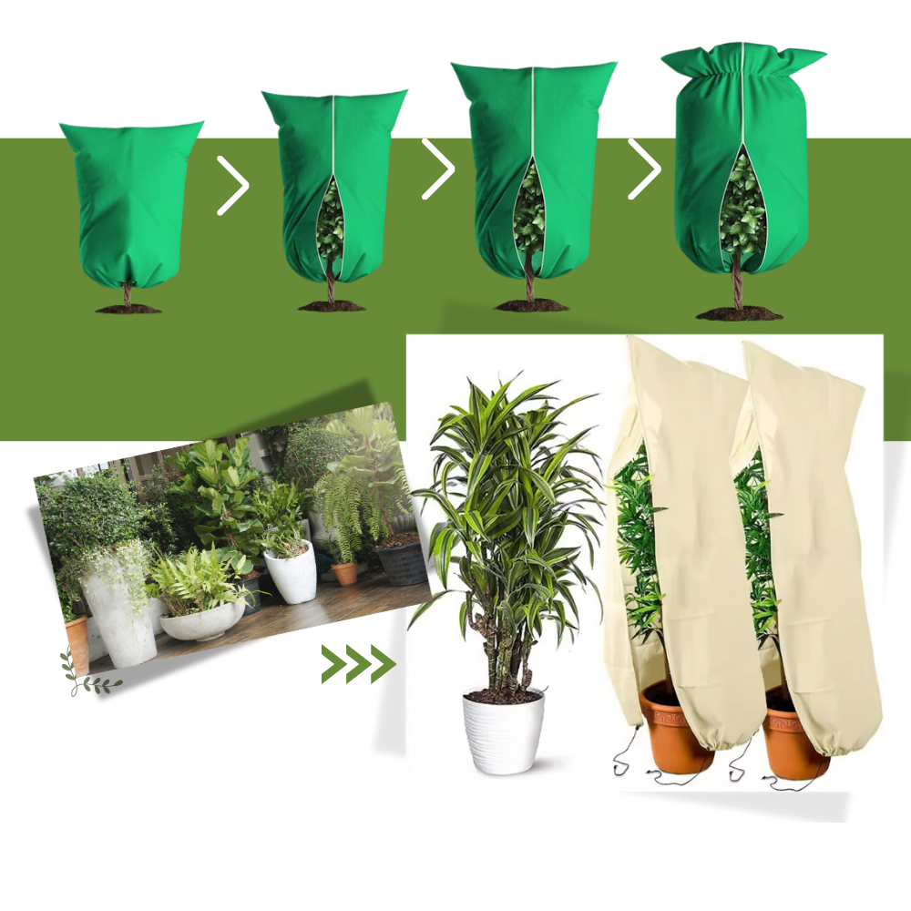 Couvre-plantes isolants supérieurs contre le gel