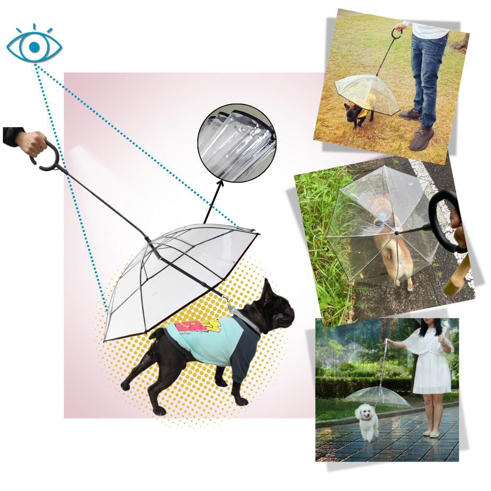 Laisse parapluie transparente pour chien