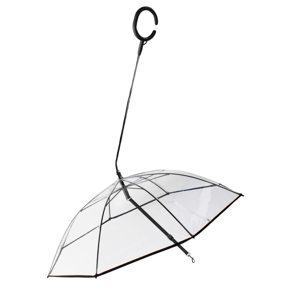 Laisse parapluie transparente pour chien