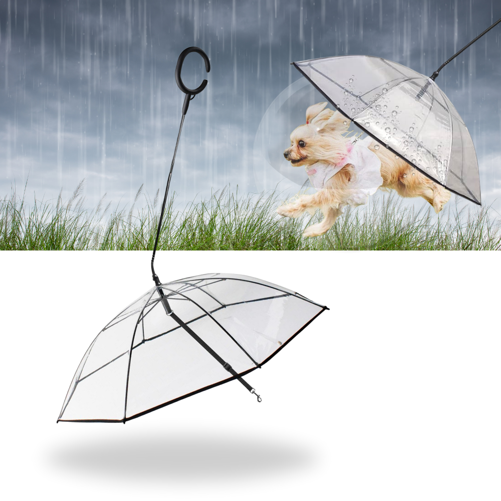 Laisse parapluie transparente pour chien