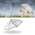 Laisse parapluie transparente pour chien